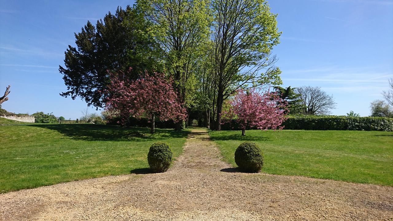 L'Olivier Villa Monts-sur-Guesnes ภายนอก รูปภาพ